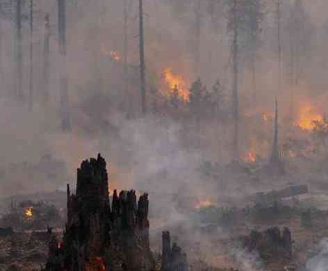 Southeast Asias Transboundary Haze: Sovereignty and Responsibility