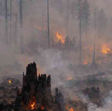 Southeast Asias Transboundary Haze: Sovereignty and Responsibility