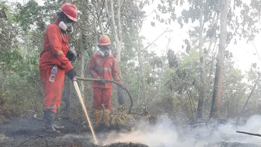 Karhutla Jadi Prioritas Nasional, Pemerintah Kerahkan Operasi Terpadu