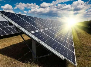 Energy: Indonesias Resolve to Set Its Own Priorities