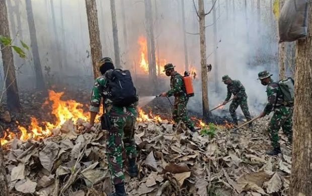 Pemerintah Intensifkan Penanganan Karhutla, Perlindungan Masyarakat Terus Diperkuat